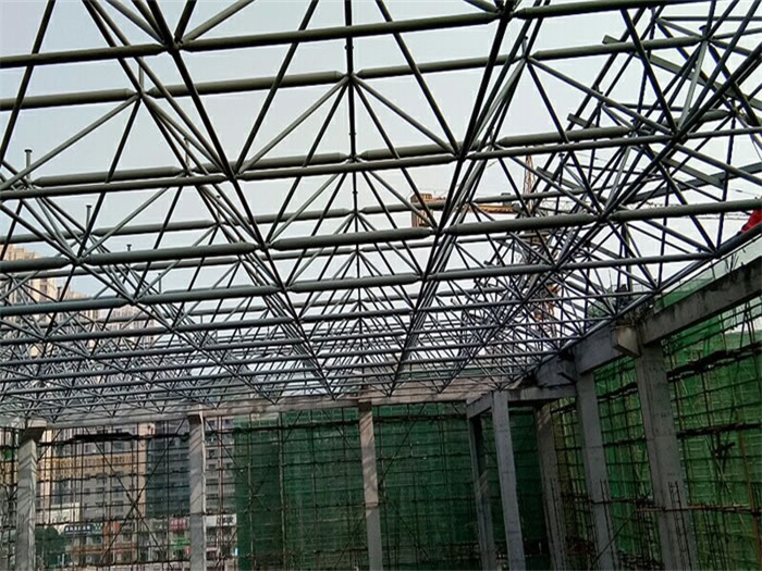 耒阳光谷第十一小学网架